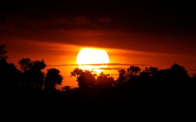Explore Unforgettable Adventures on a Botswana Vacation Escape to Botswana’s Stunning Wildlife and Scenic Landscapes