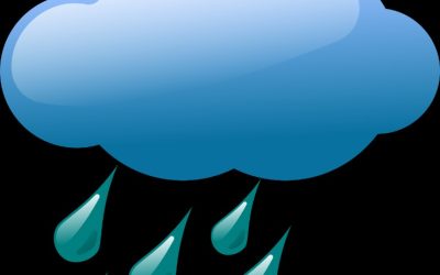 A Monthly Guide to Botswana Weather: What to Expect Throughout the Year