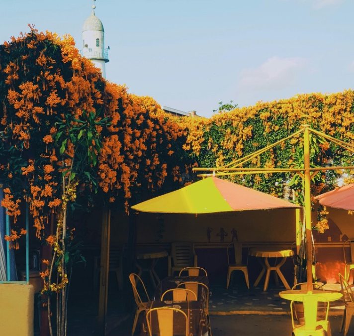 Discovering the Rich Flavors of Ethiopia’s Coffee Culture at Local Cafes