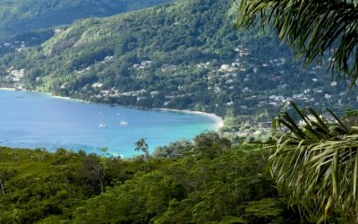 Discover the Mystique of Coco de Mer in Seychelles: Nature’s Enigmatic Treasure