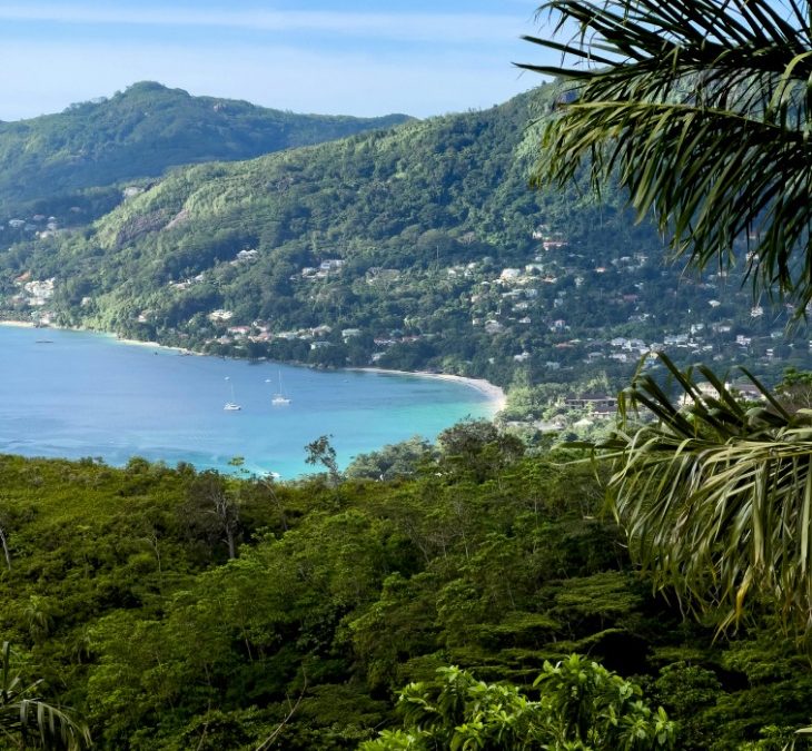 Discover the Mystique of Coco de Mer in Seychelles: Nature’s Enigmatic Treasure