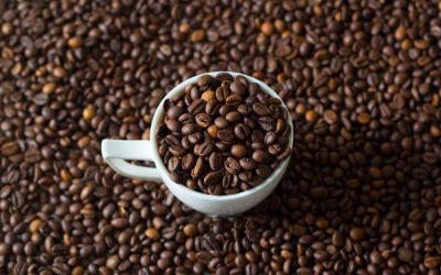 Ethiopia’s Rich Heritage Shines Through Premium Coffee Beans