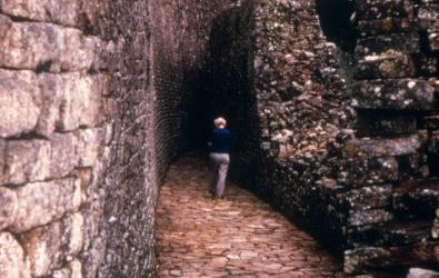 The Rich and Diverse Heritage of Culture in Zimbabwe