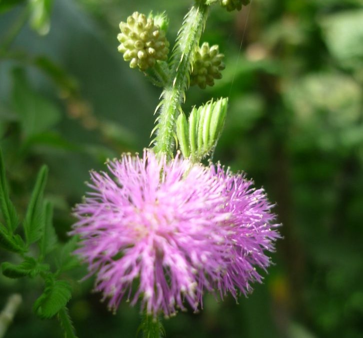 Current Time in Nigeria: Real-Time Update and Local Timezone Information