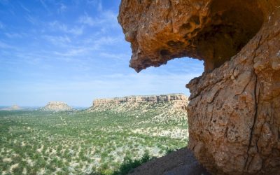 Discover the Unique Wilderness and Cultural Heritage of Damaraland in Namibia