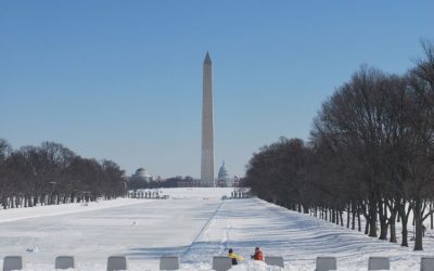 DC Ethiopia: Bridging Cultures and Empowering Communities in the Heart of Washington