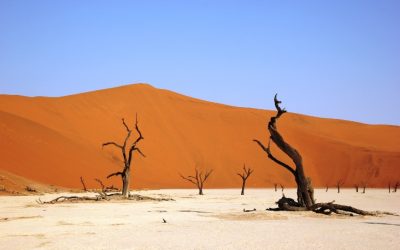 Experience Luxurious Comfort at a Desert Lodge in Namibia