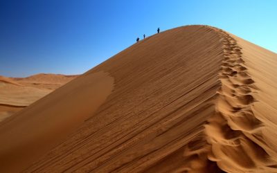 Exploring the Stunning Landscapes and Unique Wildlife of the Namibia Desert