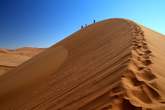 Exploring the Stunning Landscapes and Unique Wildlife of the Namibia Desert