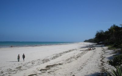 Discover Luxury and Serenity at Diani Resorts Kenya for an Unforgettable Beach Vacation