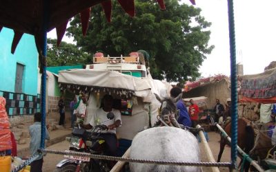 Dire Dawa emerges as a vibrant center of culture and commerce in Ethiopia