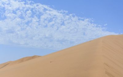 Exploring the Mysteries of Dune 7 in Namibia: Africa’s Hidden Sandstone Gem