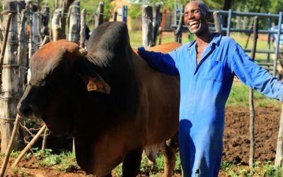 Zimbabwe’s Economic Revival: Challenges and Opportunities Ahead