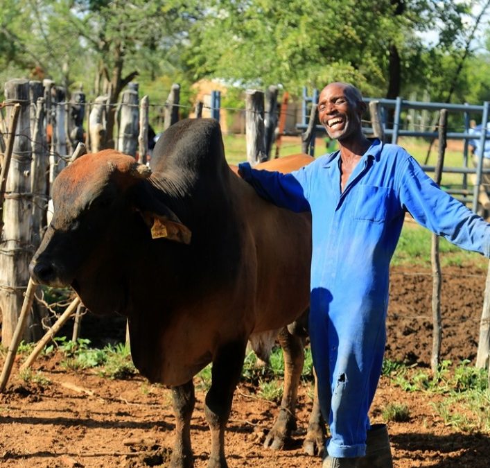 Zimbabwe’s Economic Revival: Challenges and Opportunities Ahead