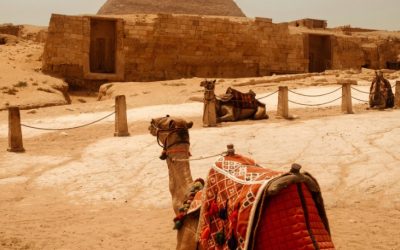 Egypt’s Abdel Fattah el-Sisi Leads National Reforms Amidst Regional Challenges