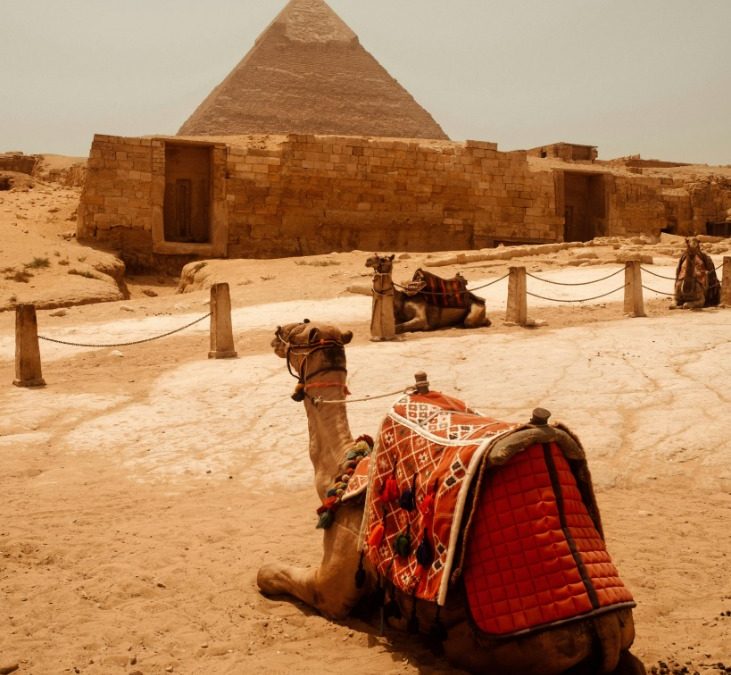 Egypt’s Abdel Fattah el-Sisi Leads National Reforms Amidst Regional Challenges