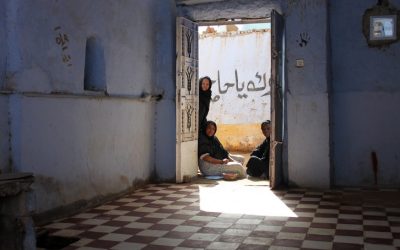 Egypt Pounds to Dollars: Latest Exchange Rate Trends and Forecasts