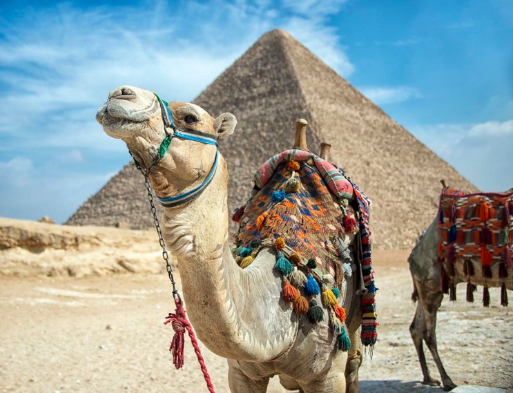 egypt_pyramids_(28).jpeg