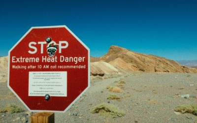 Egypt Travel Warning: Essential Safety Tips for Visitors in 2024
