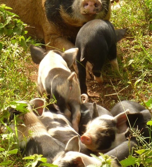 Kenya Opens New Embassy Office to Strengthen Diplomatic Relations