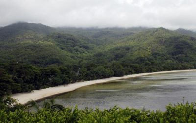 Discover the Paradise Retreat at Ephelia Seychelles for an Unforgettable Escape