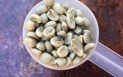 Current Weather Conditions in Addis Ababa, Ethiopia