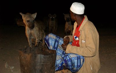 Current Ethiopia Date and Time: Stay Updated with Accurate Local Information