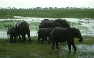 Key facts about Zimbabwe’s history, economy, and culture