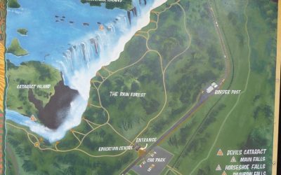 Rising Incidents of Falls in Zimbabwe Highlight Urgent Need for Preventive Measures