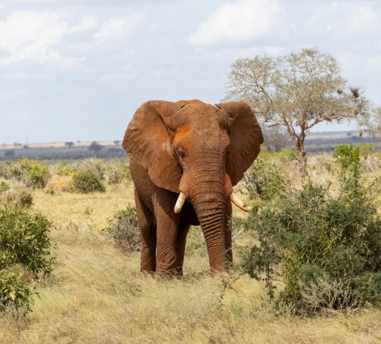 Severe Flash Floods Devastate Regions Across Kenya Causing Widespread Damage and Displacement