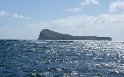 Discover Top Flic and Flac Attractions and Resorts in Mauritius