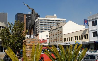 Affordable Flights to Windhoek, Namibia Offer Unforgettable Safari Experiences