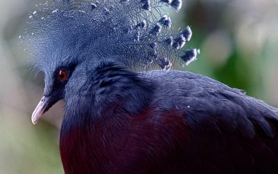 Discover the Delicious Culinary Heritage of Mauritius