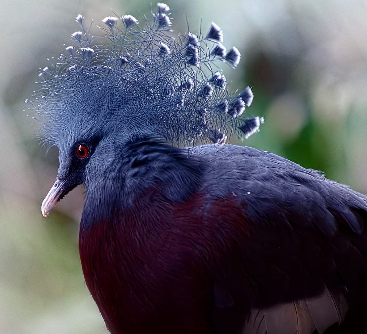 Discover the Delicious Culinary Heritage of Mauritius