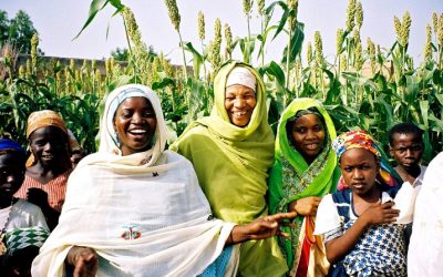 Rising Concerns Over Infrastructure and Development in Nigeria’s Key Fork Locations