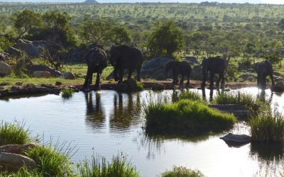 Experience Ultimate Luxury at the Four Seasons Hotel in Tanzania
