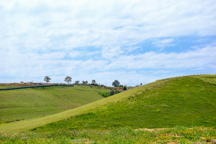 Francesca’s Journey Through Morocco: An Unforgettable Cultural Adventure