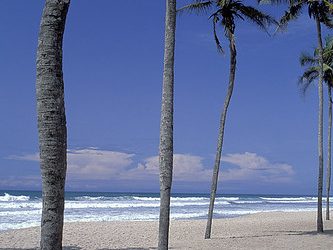 Discover the Stunning Beauty of Ghana’s Pristine Beaches