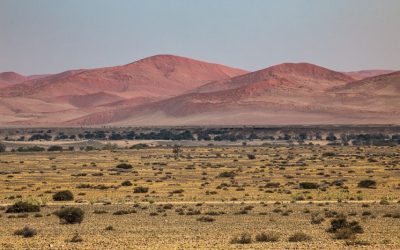 Exploring the Hidden Gachas of Namibia: A Natural Treasure Trove