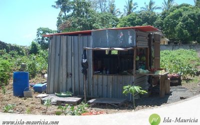 Discover Paradise: Your Ultimate Guide to Going to Mauritius