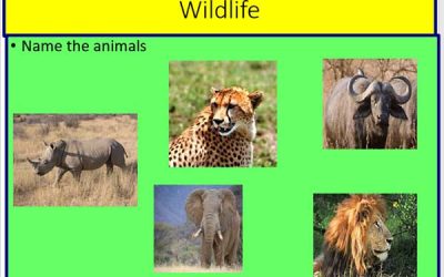 Kenya’s Government Launches New Initiatives to Promote Economic Growth