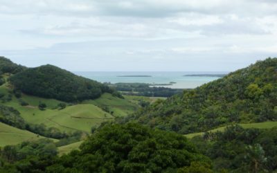 Discover the Stunning Beauty and Attractions of Grand Bay in Mauritius