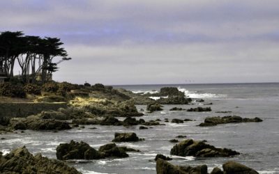 Discover the Charm and Beauty of Grand Bay Mauritius as a Premier Tourist Destination