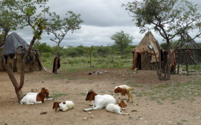 Discover the Unique Experiences at Habitas Namibia for an Authentic African Safari Adventure