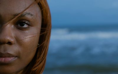 Half of a Yellow Sun: A Tale of Love and War in Nigeria’s Turbulent Past