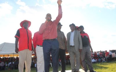 Harare Sports Club: The Heart of Zimbabwe’s Cricket and Sports Heritage