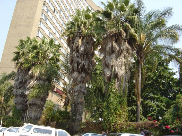 Top Hotels to Stay at in Harare, Zimbabwe for a Memorable Experience