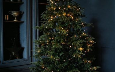 Discover Your Perfect Holiday Apartment in Mauritius for an Unforgettable Escape