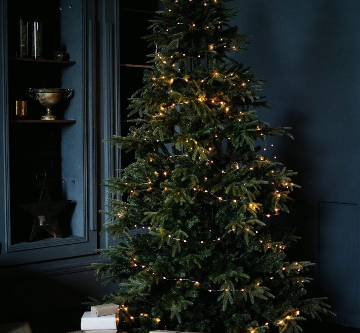 Discover Your Perfect Holiday Apartment in Mauritius for an Unforgettable Escape