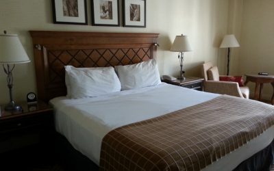 Discover Unforgettable Luxury at Top Hotels in Tanzania for Your African Safari Experience